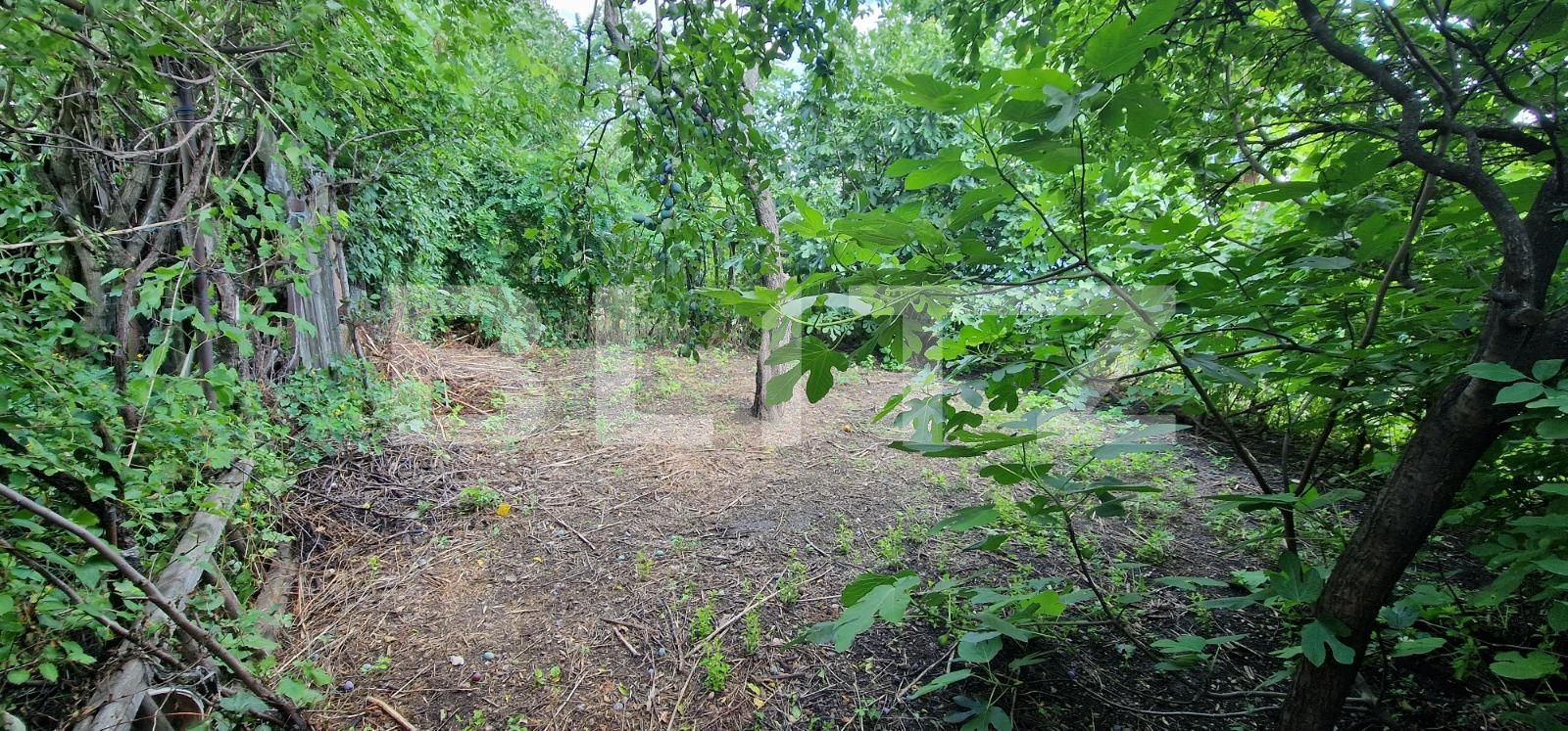 Casa de vânzare 4 camere B-dul București - 119741CV | BLITZ Ploieşti | Poza4