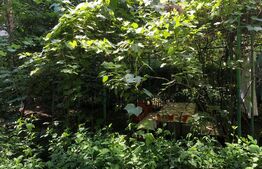 Apartament cu 3 camere, decomandat, 57mp, Nord