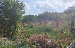 Teren, 3600mp, Drumul Vinului