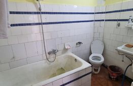 Casa individuala, 3 camere, 100 mp, teren 250 mp, Rudului