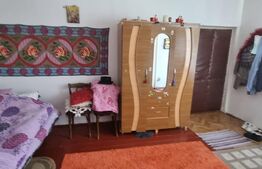 Casa individuala, 3 camere, 100 mp, teren 250 mp, Rudului