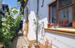Casa individuala, 3 camere, 100 mp, teren 250 mp, Rudului