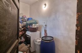 Casa individuala, 3 camere, 100 mp, teren 250 mp, Rudului