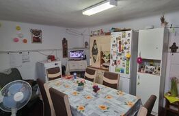 Casa individuala, 3 camere, 100 mp, teren 250 mp, Rudului