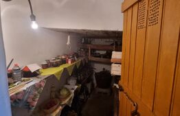 Casa individuala, 3 camere, 100 mp, teren 250 mp, Rudului