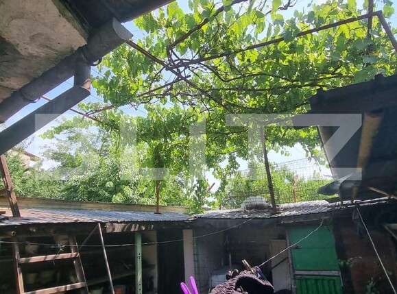 Casa de vânzare 3 camere Rudului - 120199CV | BLITZ Ploieşti | Poza14