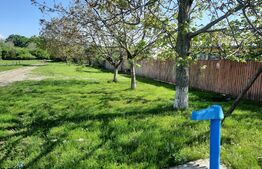 Casa  5 camere, 118 mp, teren 3400 mp, Balta Doamnei