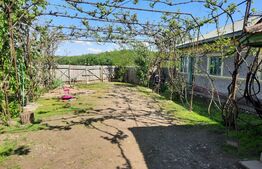 Casa  5 camere, 118 mp, teren 3400 mp, Balta Doamnei