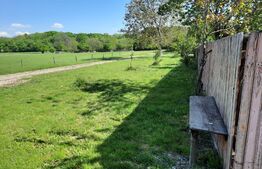 Casa  5 camere, 118 mp, teren 3400 mp, Balta Doamnei