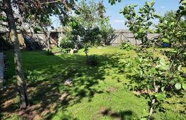 Casa  5 camere, 118 mp, teren 3400 mp, Balta Doamnei