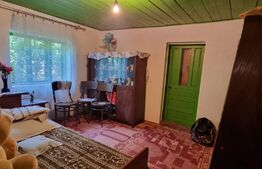 Casa  5 camere, 118 mp, teren 3400 mp, Balta Doamnei