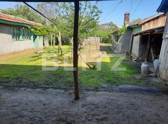 Casa de vânzare 5 camere Exterior Sud - 120279CV | BLITZ Ploieşti | Poza4