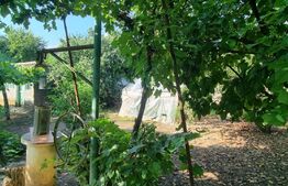 Teren intravilan, 3400 mp, extravilan 2800 mp, comuna Balta Doamnei