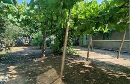 Teren intravilan, 3400 mp, extravilan 2800 mp, comuna Balta Doamnei