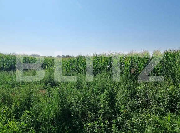 Teren de vânzare Exterior Sud - 120286TV | BLITZ Ploieşti | Poza6