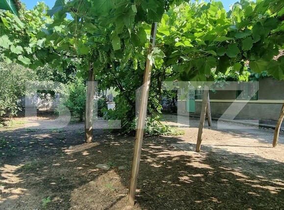 Teren de vânzare Exterior Sud - 120286TV | BLITZ Ploieşti | Poza1