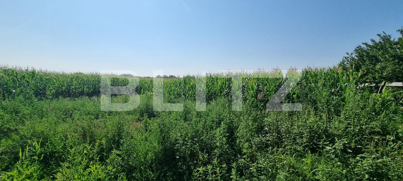 Teren de vânzare Exterior Sud - 120286TV | BLITZ Ploieşti | Poza6