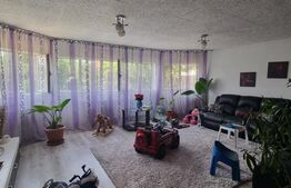 Casa individuala P+M, 3 camere, 190 mp, teren 800 mp, Strejnicu