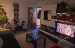 Apartament 2 camere, 55 mp, zona Paltinis