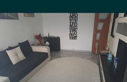 Apartament 2 camere, 55 mp, zona Paltinis