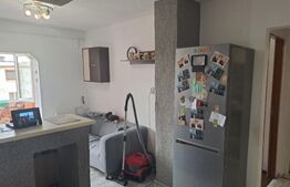Apartament 2 camere, 55 mp, zona Paltinis