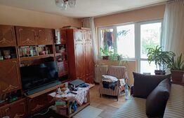 Apartament 2 camere, 46 mp, zona Vest 1