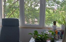 Garsoniera, 24mp, Penes Curcanului