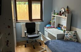 Casa individuala, 4 camere, 90 mp, teren 210 mp, Pictor Rosenthal