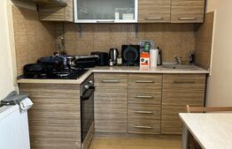 Casa individuala, 4 camere, 90 mp, teren 210 mp, Pictor Rosenthal