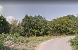 Teren, 10000mp, Paulesti