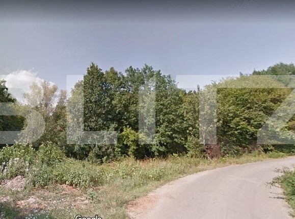 Teren de vânzare Paulesti - 122078TV | BLITZ Ploieşti | Poza1