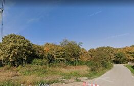 Teren, 8500mp, Paulesti