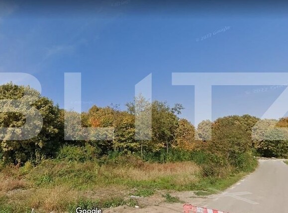 Teren de vânzare Paulesti - 122081TV | BLITZ Ploieşti | Poza1