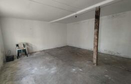 Casa individuala 8 camere, 250mp, teren 900mp, Rudului