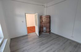 Casa individuala 8 camere, 250mp, teren 900mp, Rudului