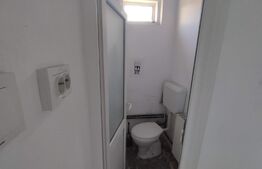 Casa individuala 8 camere, 250mp, teren 900mp, Rudului