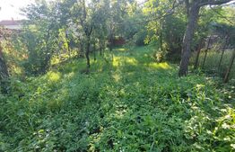 Casa individuala 8 camere, 250mp, teren 900mp, Rudului