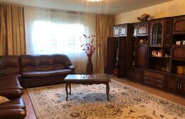 Casa individuala 9 camere, 280mp, teren 410 mp, Bariera Bucuresti