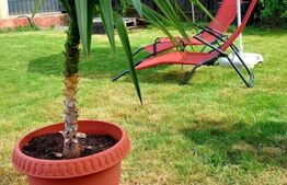 Casa individuala 4 camere, 130 mp, zona Valea Calugareasca