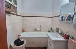 Duplex, 4 camere, suprafata 243 mp  , teren 238, zona Rosiori