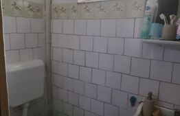 Duplex, 4 camere, suprafata 243 mp  , teren 238, zona Rosiori