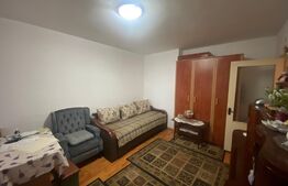 Garsoniera spatioasa, 27mp, zona Sud