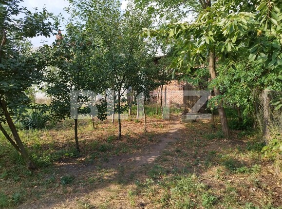 Casa de vânzare 4 camere Berceni - 124510CV | BLITZ Ploieşti | Poza5