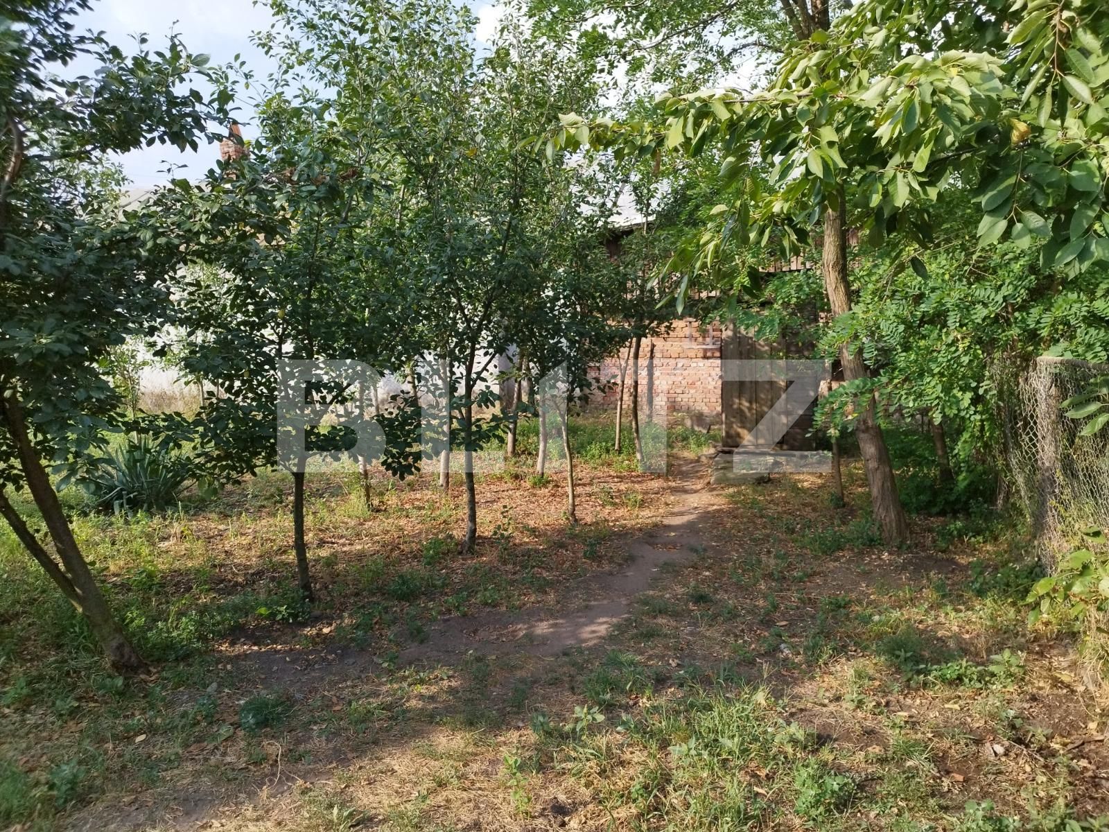 Casa de vânzare 4 camere Berceni - 124510CV | BLITZ Ploieşti | Poza5