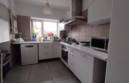 Casa individuala 5 camere, 290MP, teren 318mp, Malu Rosu 