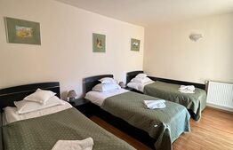 Pensiune 12 camere, 429mp, Busteni, zona Zamora