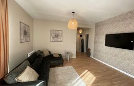 Garsoniera, decomandata, 45mp, Cartier Albert