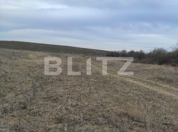 Teren de vânzare Exterior Est - 129191TV | BLITZ Ploieşti | Poza6