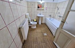 Casa 11 camere, 720mp teren, Ultracentral