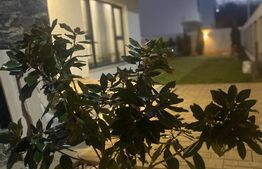 Casa de lux langa padure, 212 mp, teren 500 mp, in Paulesti. 